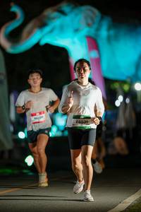 BIB: 
                            <button type="button" onclick="openModal(26532728)" class="btn btn-primary btn-sm float-right btn-popup" data-toggle="modal" data-target=".modal-high-quality">
                        <i class="fas fa-shopping-cart"></i> Add to Cart
                    </button>
                                            <button type="button" onclick="isThisMe(26532728, true)" class="btn btn-success btn-sm float-right btn-popup btn-isme hidden" data-toggle="tooltip" data-placement="bottom" title="นี่คือรูปของคุณใช่ไหม คลิกที่นี่เพื่อเอาเข้าอัลบั้ม">
                        <i class="fas fa-plus"></i> Add to album
                    </button>
                    <button type="button" onclick="isThisMe(26532728, false)" class="btn btn-warning btn-sm float-right btn-popup btn-isnotme hidden">
                        <i class="fas fa-ban"></i> Remove from album
                    </button>